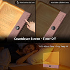2-in-1 LED Book Light & Ambient Lamp